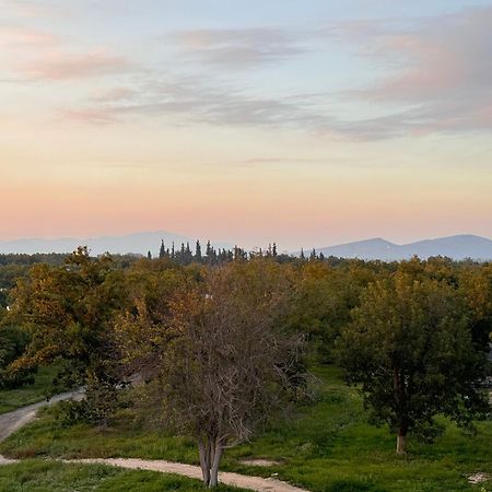 Hotel Nuvo Сальтільо Екстер'єр фото